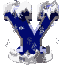 Y