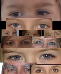 eyes