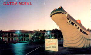 Gator Motel