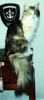 Daphne
