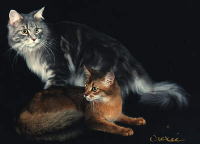 Rocky and Alura