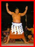 Chiyonofugi