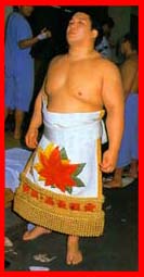 The apron