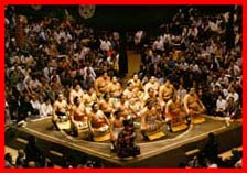 The dohyo