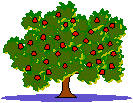 Apple Tree