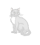 Cat Background