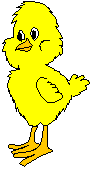 Chick