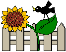 Sunflower and Bird on Fence