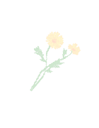 Flower Background