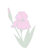 Iris Background