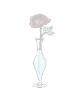 Rose Background