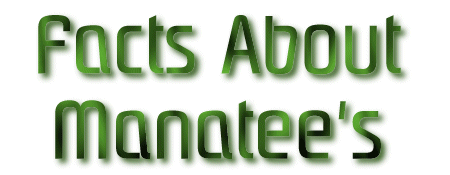 manateetxt.gif (29048 bytes)