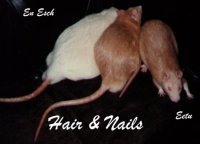 En Esch - Toylandin Hair n' Nails, Silver Fawn buck - Eetu