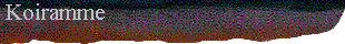  Koiramme 