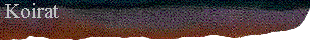  Koirat 