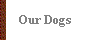  Our Dogs 