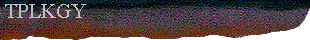  TPLKGY 