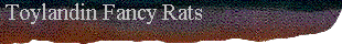  Toylandin Fancy Rats 