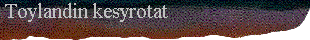  Toylandin kesyrotat 