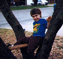 steven5.gif