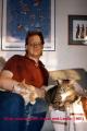 Cats91