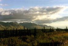 more scenery