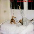 LizIan91