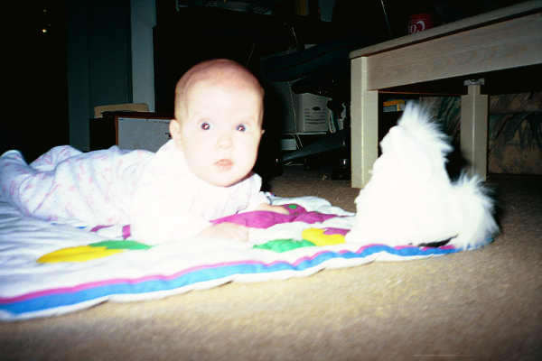 /user/Pictures/Feb99/Photo019.jpg