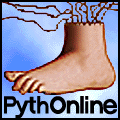 Monty_Python_foot
