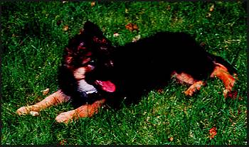 Hero in a playful mood