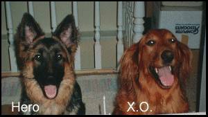 X.O. and Hero