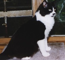 blk_wht2.jpg - 14.0 K