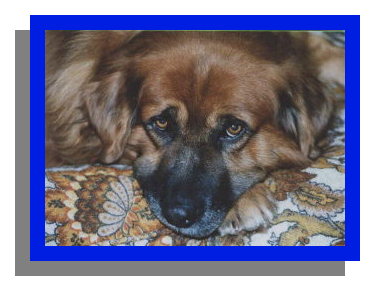 bretfacpic.jpg - 28.3 K