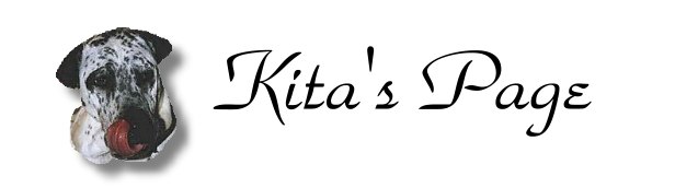 kitlogo.jpg - 14.9 K