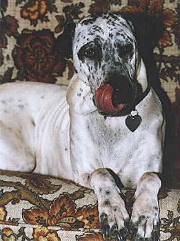 mx0230-3.jpg - 25.2 K