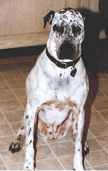 mx0230-4.jpg - 16.2 K