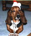 santamg_sm.jpg - 4.8 K