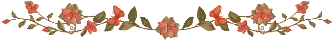 Mollica vine