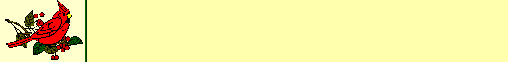 cardinal on yellow