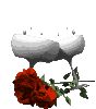 The Juices Of Romance