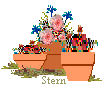 The garden