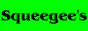 squeegee