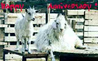 Happy Anniversary