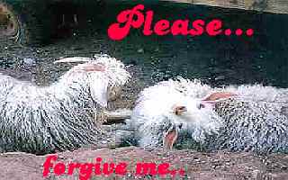 forgive me