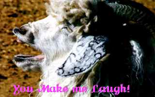 you make me laugh