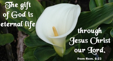 The gift of Godis eternal life through Jesus Christ our Lord.  Romans 6:23