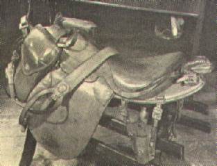 Harness of Black Prince
