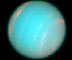 Neptune