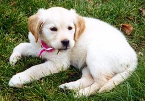 Baby Rosie