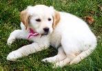 My Baby Picture